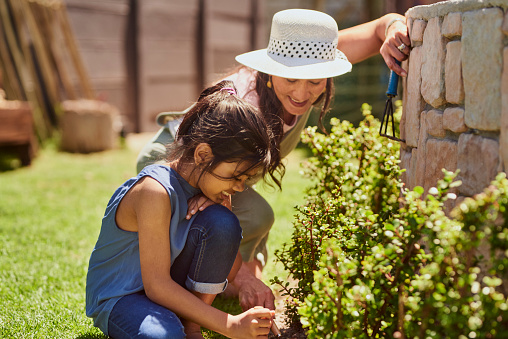 A grandmother and her granddaughter are gardening together. They are both smiling and appear to be enjoying themselves. The grandmother is wearing a hat to protect herself from the sun. The granddaughter is wearing a blue shirt and jeans.