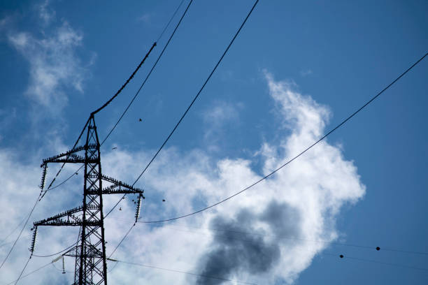 istock Flock of birds on high voltage pylon in blue sky 1890913040