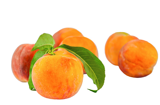 Juicy peaches with green leaves isolated on a white background. Ripe fruit close-up.