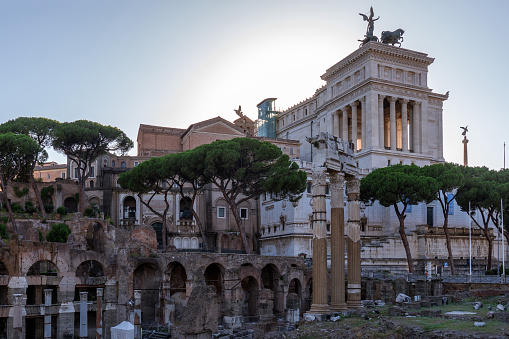 cityscape view of the Roman Forum in Rome, Italy. Landmark in Italy during summer sunny day.