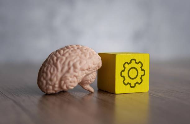 istock Human brain and wooden block with cogwheel icon. 1891083924