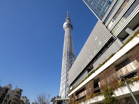 Tokyo Skytree and Tokyo Solamachi. Photographed on December 21, 2023 in Sumida Ward, Tokyo.