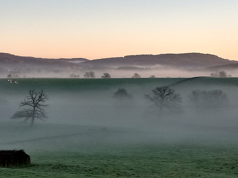 Early morning winter mist over fields near the tiny village of Sermaise in France's historic Burgundy region.