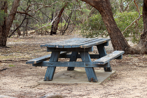 empty old wooden park bench in australian bushland