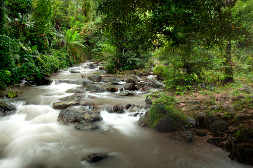 Flowing stream with rocks in the water amidst nature in Nakhon Nayok, Thailand