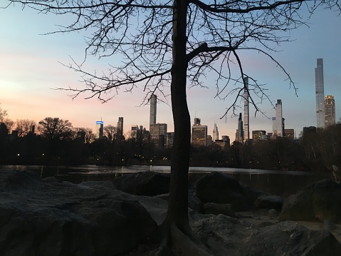 Golden Hour in Central Park in December in Manhattan, New York, NY.