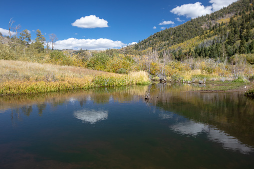 Beaver Pond in the Sangre De Cristo Range of the Rocky Mountains on the Medano Pass primitive road in Colorado United States