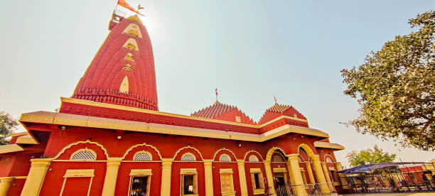 istock Nageswara temple Gujarat, India 1891414874