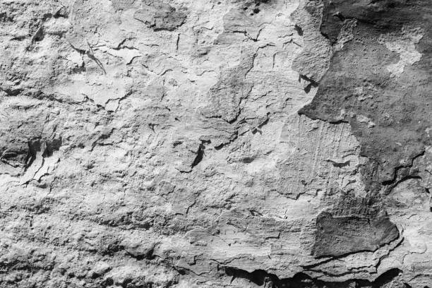istock Light grey concrete wall with deep scratches and chips. Various variations of abrasions. 1891415982