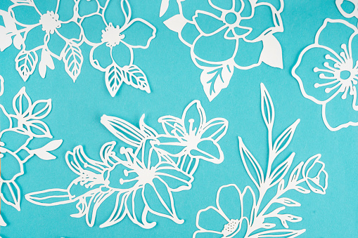 White paper cut plants leaves on blue color background