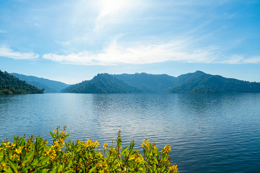 Mountain and water source from dam, relax summer wallpaper, daytime landscape and beautiful blue cloudy sky, pretty spring flower foreground .Khun Dan Prakan Chon Dam, Thailand.