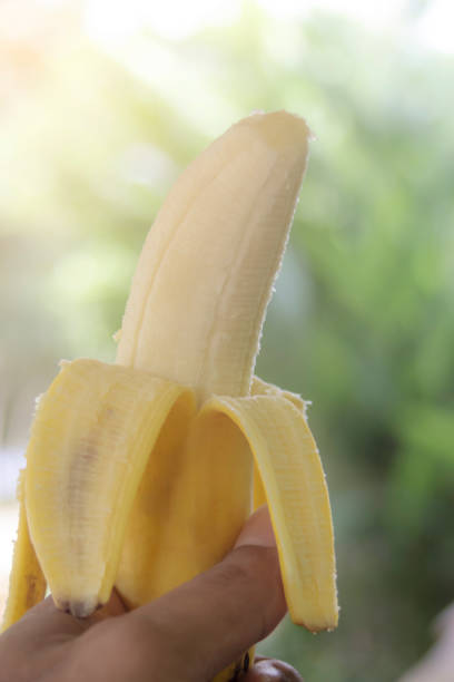 istock Hand holding banana fruit with on blurred 1891516345