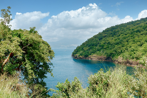 Bay of Anse Noire, Martinique