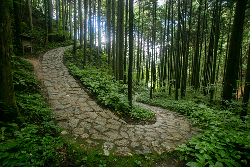 Walking the cobblestone road following the Nakasendo trail between Tsumago and Magome in Kiso Valley, Japan..