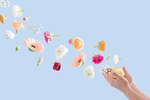 Spring flowers flying from a woman's hands against a blue background. Intended for spring, summer, Mother's Day, International Women's Day, and numerous other occasions.