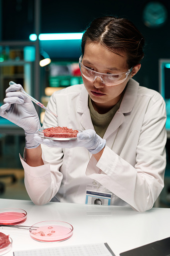Young female scientist adding water on meat sample using pipette