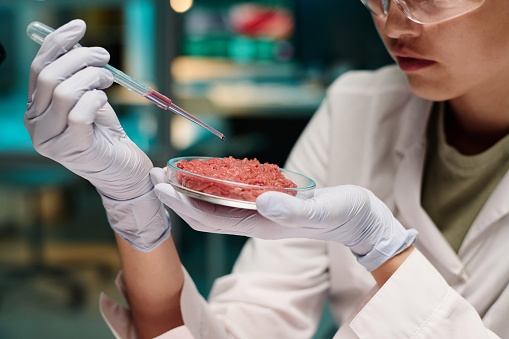 Female researcher adding pink liquid to meat sample using pipette working in laboratory