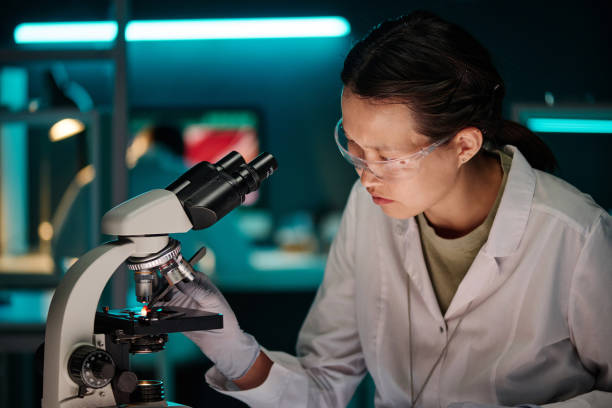 istock Young Scientist Placing Piece of Lab-Grown Meat Substitute Under Microscope 1891633087