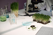 Biologist Workplace in Laboratory