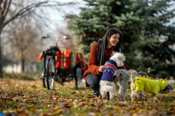 istock Woman playing with her three pets in off- leash dog park 1891640437