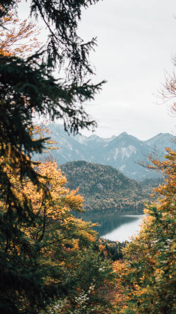 istock Lake in the mountains 1891663937