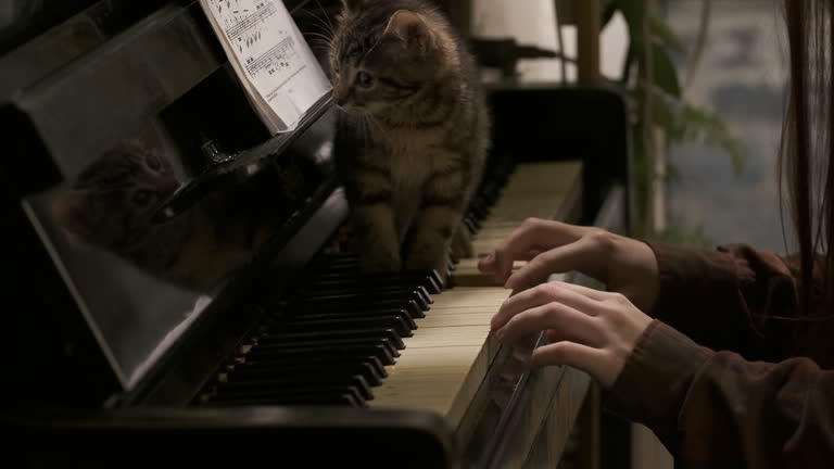 Vintage style, cinematic,  teen study plays on an old piano