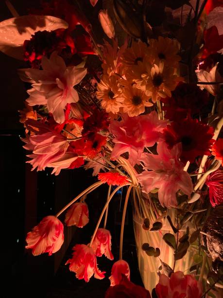 Beautiful bouquet in the darkness