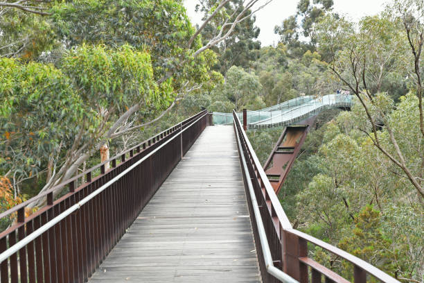 istock Boardwalk in King's Park, Perth, WA 1891722128
