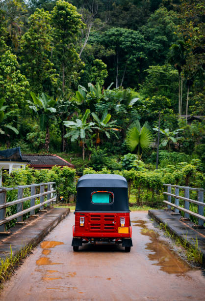 Driving a tuk-tuk through Sri Lanka A unique experience of driving a local tuk-tuk vehicle while traveling through the Sri Lanka. taxi sri lanka stock pictures, royalty-free photos & images