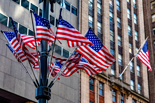 Flags are posted and waving for Barack Obama's presidential Inauguration.  Washington DC.  Check out my 