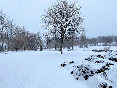 A view of Reykjavik park in the snow in the winter