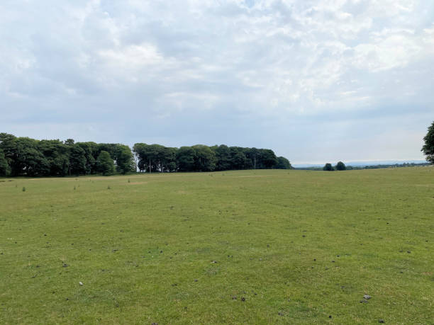 istock A view of the Cheshire Countryside 1891799859