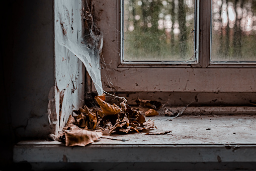 Decaying wooden window sill with old white paint flaking off  in need of some TLC.