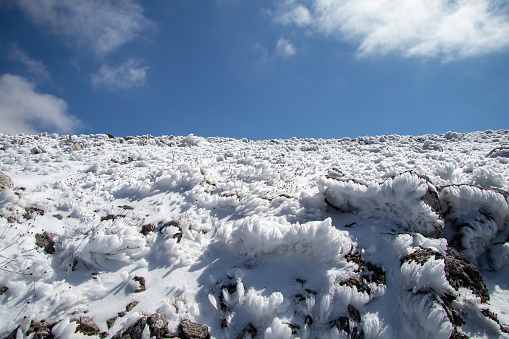 Snowy winter agro landscape.
