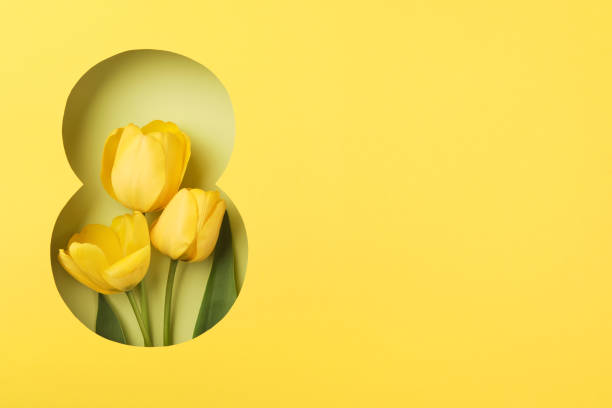 8 March greeting card. Paper cut Eight made of yellow background and fresh spring flowers bouquet of yellow tulips. Greeting card for Womens Day on March 8 Flat lay top view. International Womens day tarjeta de felicitación del 8 de marzo. papel recortado ocho hecho de fondo amarillo y flores frescas de primavera ramillete de tulipanes amarillos. tarjeta de felicitación para el día de la mujer el 8 de marzo vista superior plana. día internacional d