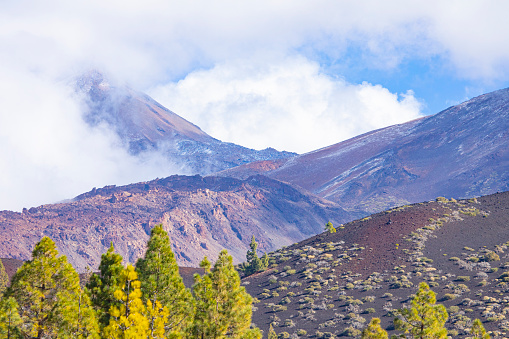 Canary Island Tenerife landmark, Teide's national park. After snowing in December 2023.