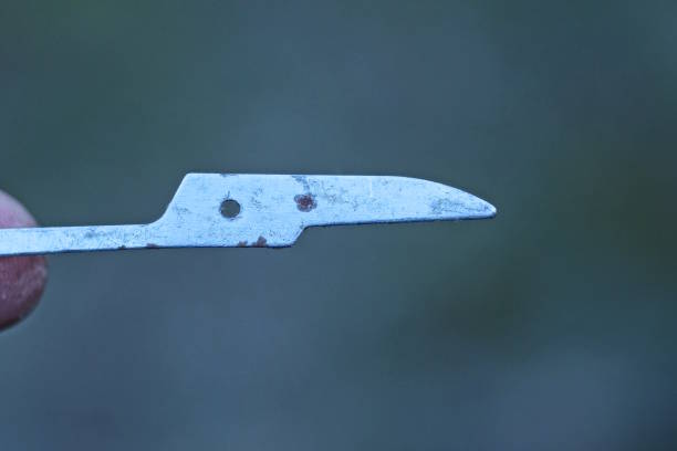 istock hand holds one piece of broken old metal scissors 1891901556