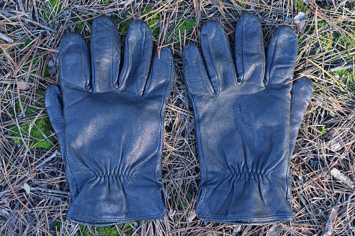 two black leather gloves lie on the ground and green moss outdoors in nature