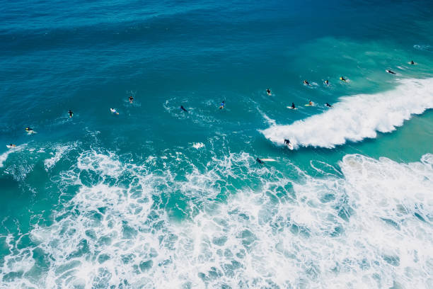 istock Surfers in blue ocean on surfboard and waves. Aerial view 1891909137