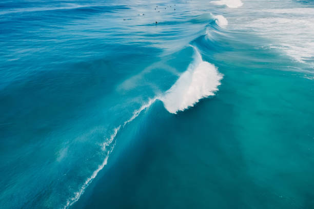 istock Blue surfing wave in tropical ocean. Breaking barrel wave. Aerial view 1891910209