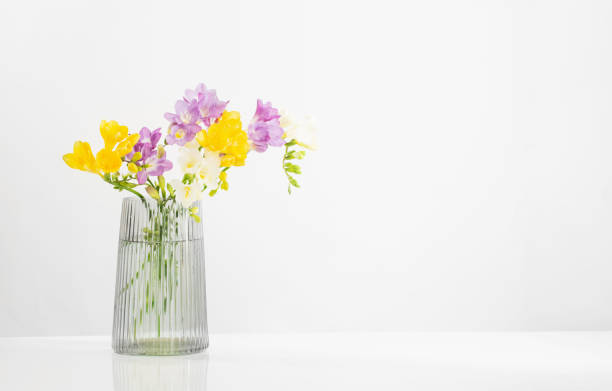 istock freesia flowers  in glass modern vase on white background 1891926500