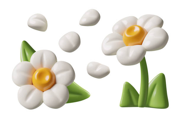 istock 3D daisy flowers petals and green leaves set 1892047496