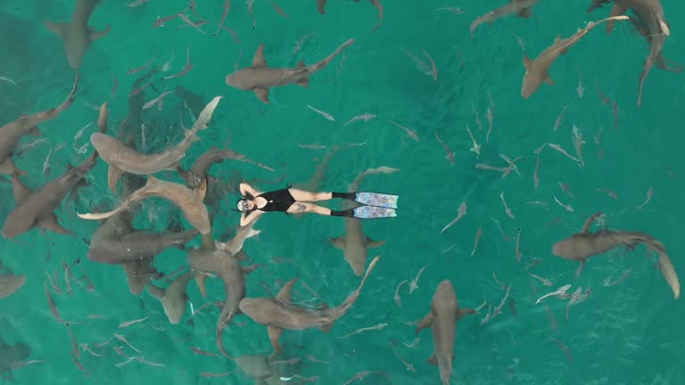 women lying down on surface water with nurse shark clearwater undersea at maldives island