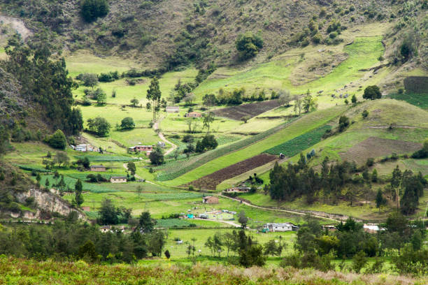 istock Emerald Quilt of Colombia 1892050596