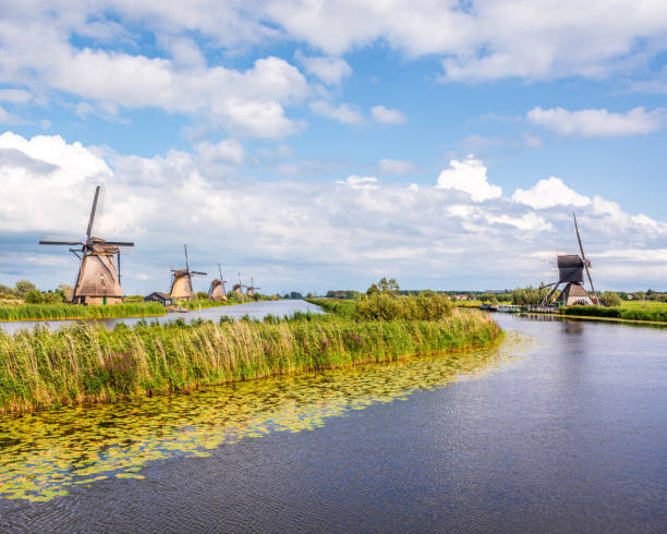 kinderdijk windmills near rotterdam, netherlands. - alblasserwaard fotografías e imágenes de stock