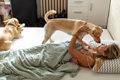 Young woman playing with her pet dogs in bed