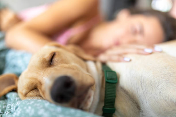 Young woman taking a nap with her pet dog