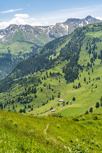 Alpen valley of the Buochserhorn near Buochs in Switzerland.