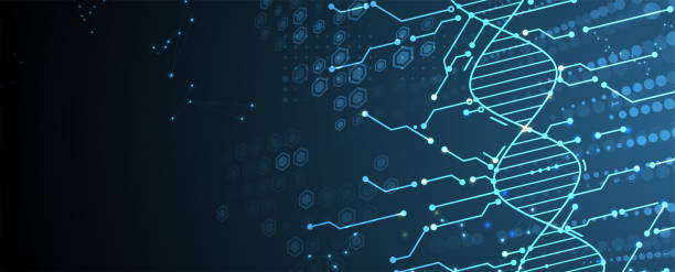 Abstract artificial intelligence DNA technology. Science and social concept. Futuristic connection structure with cell background Abstract artificial intelligence DNA technology. Science and social concept. Futuristic connection structure with cell background. Handmade vector biotechnology stock illustrations