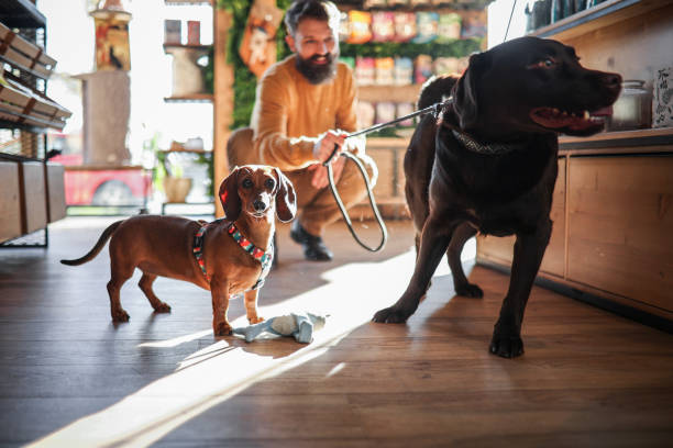 istock Exploring the Pet Store with Man's Best Friend 1892102111